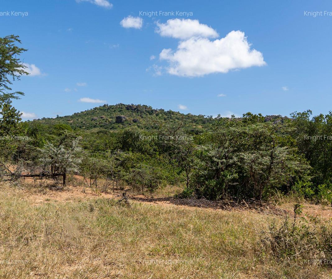 30.3 ac Land at Lolldaiga Valley - 6