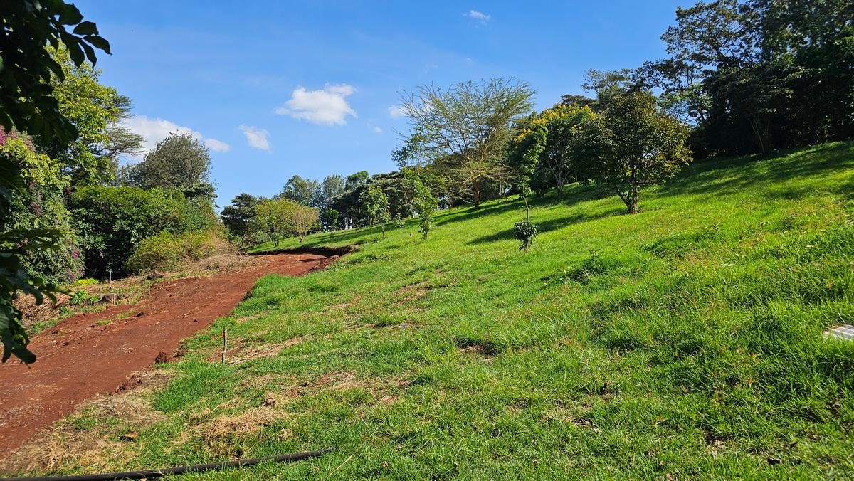 506 m² Land at Near Citam - 8