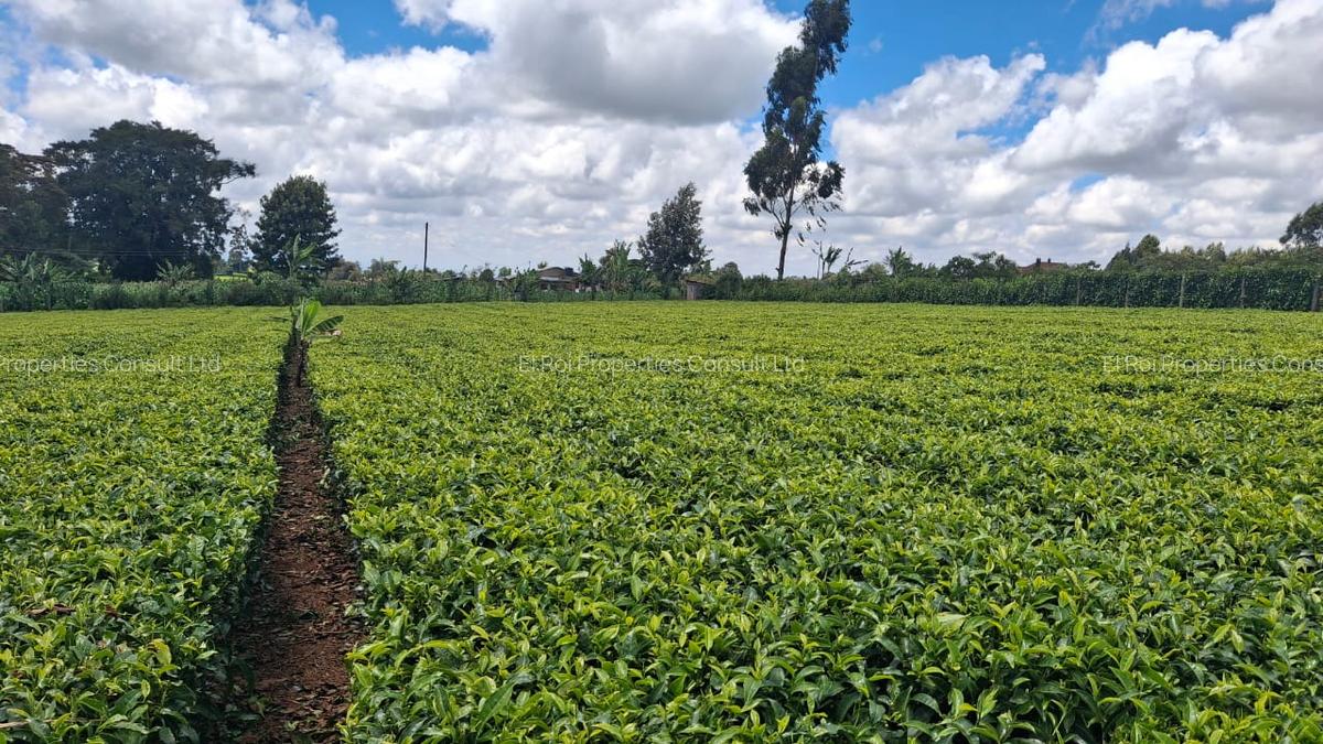 1 ac Residential Land at Limuru Girls High School - 5