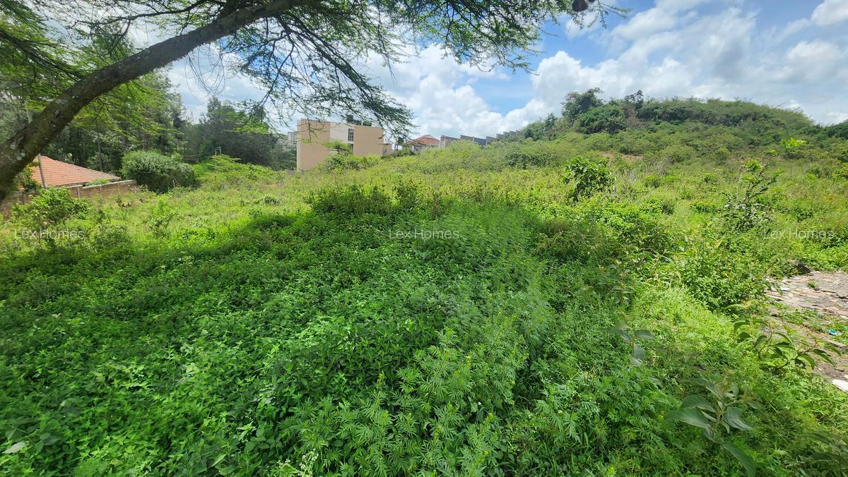 0.2 ha Commercial Land at Merisho Road - 10