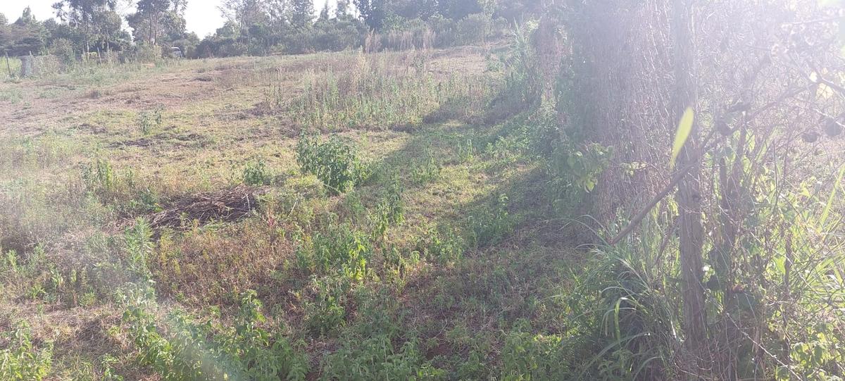 0.5 ac Residential Land at Near Gichuru High School - 10