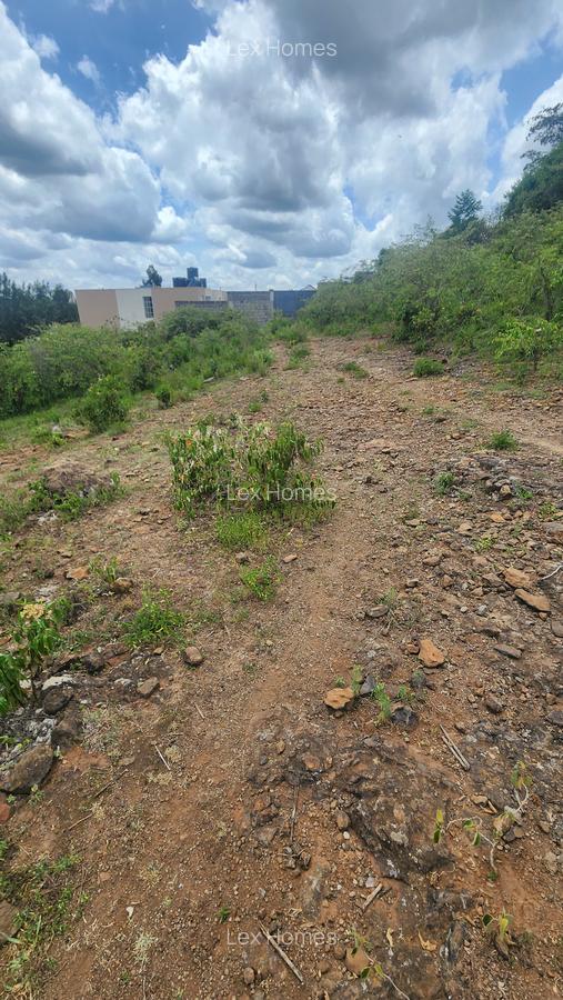 0.2 ha Commercial Land at Merisho Road - 2