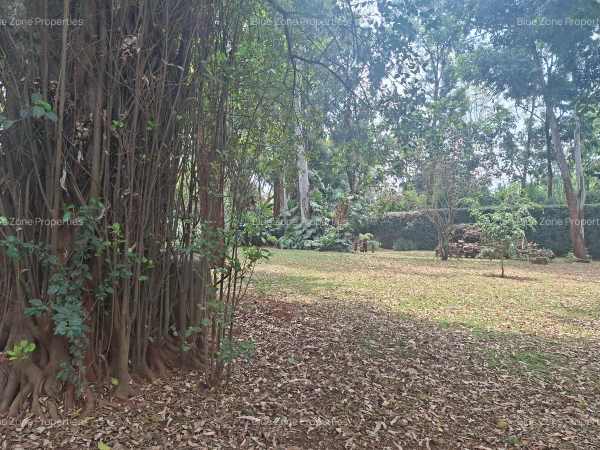 Land at Off Ridgeways/Kiambu Rd - 6