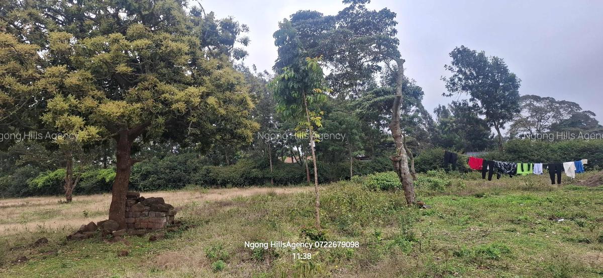 Residential Land in Ngong - 9