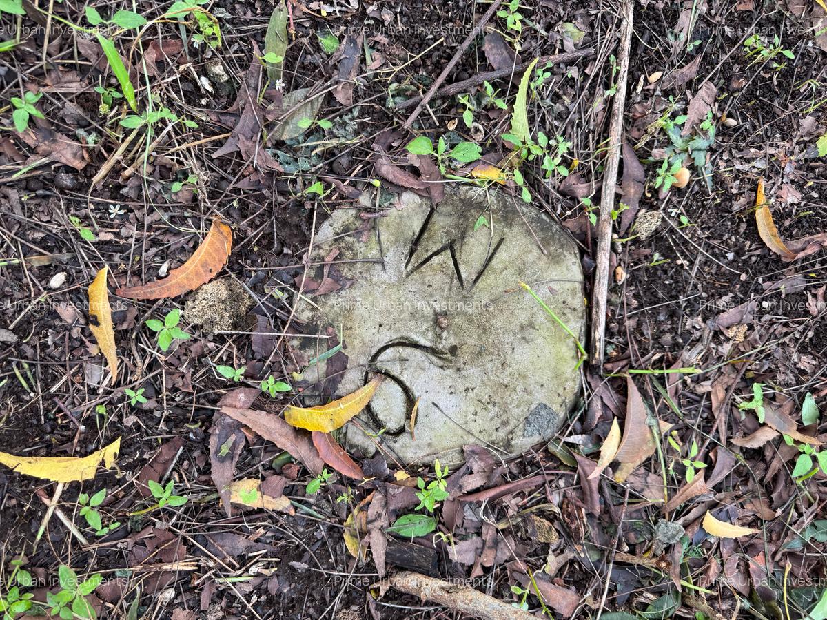 Land in Kikambala - 2