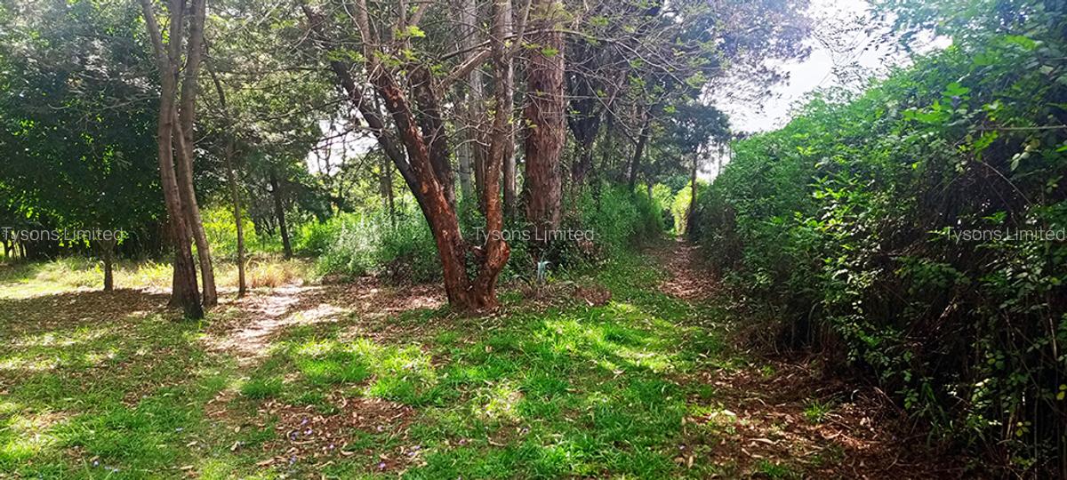 10 ac Land in Karen - 3