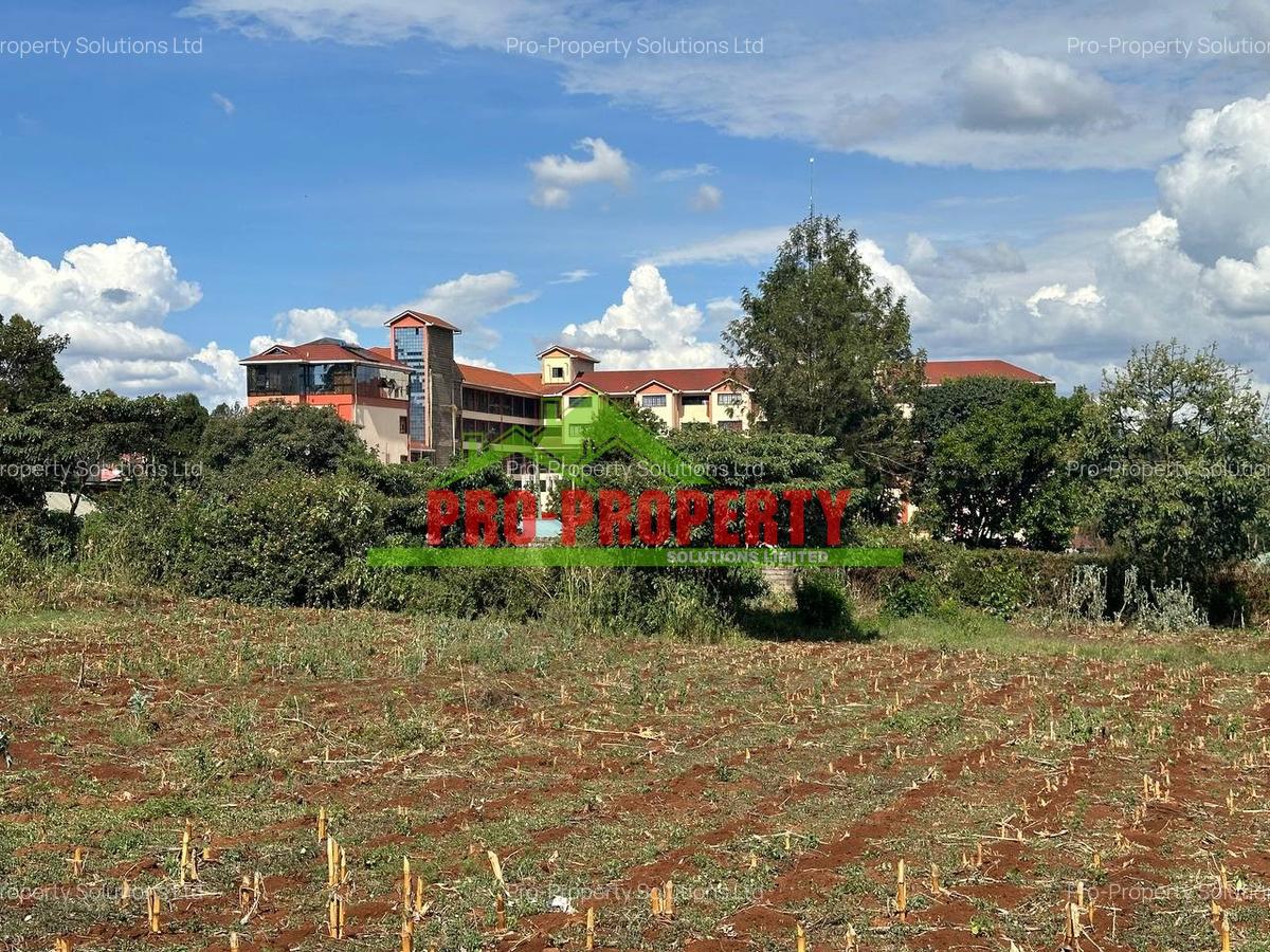 0.4 ha Land at Thogoto - 9