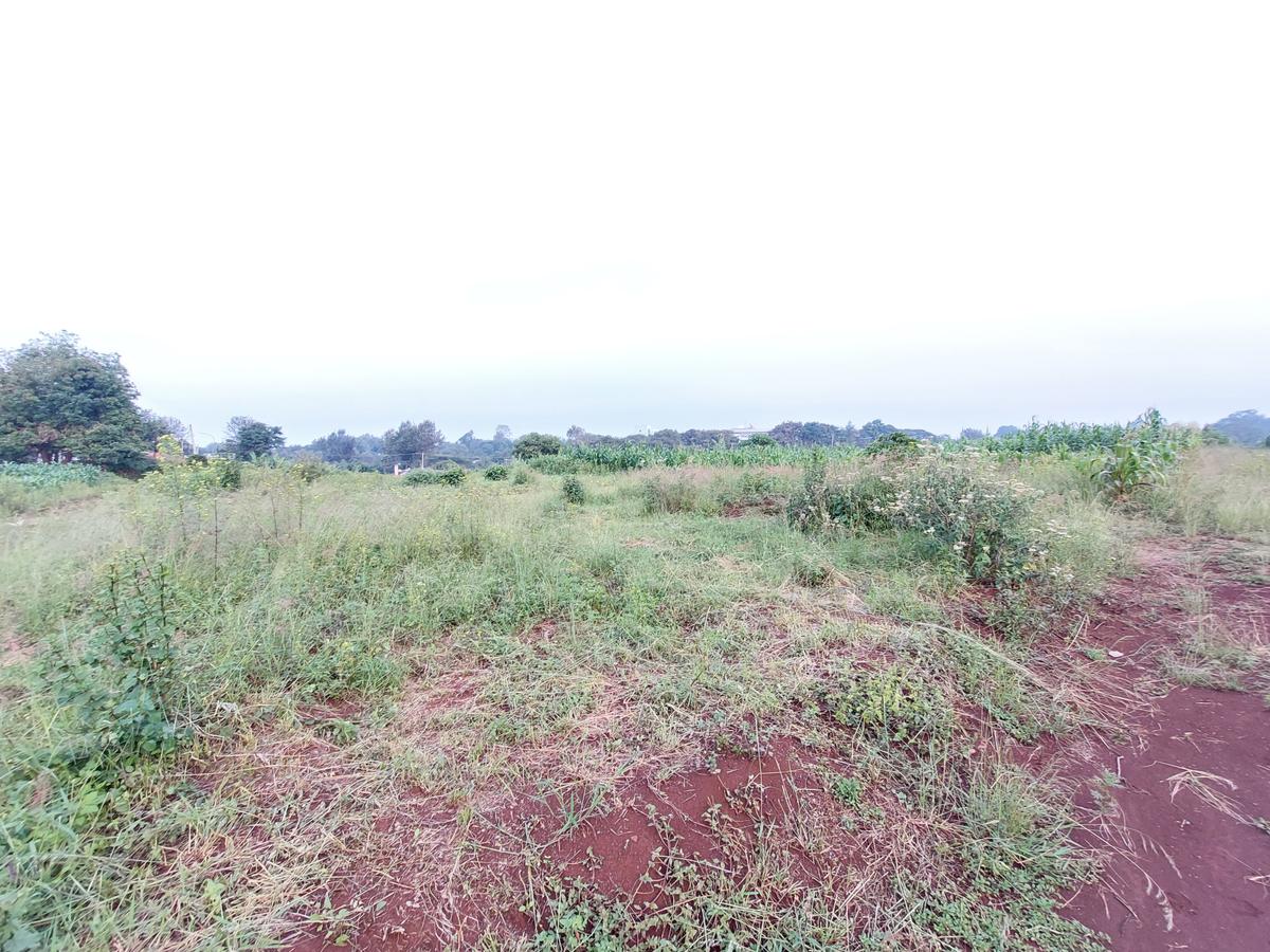 Residential Land at Kirawa Road - 3