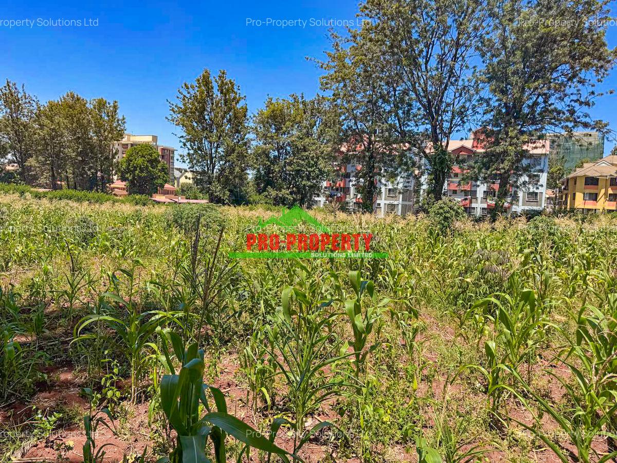 0.1 ha Residential Land at Kenyatta Road - 3