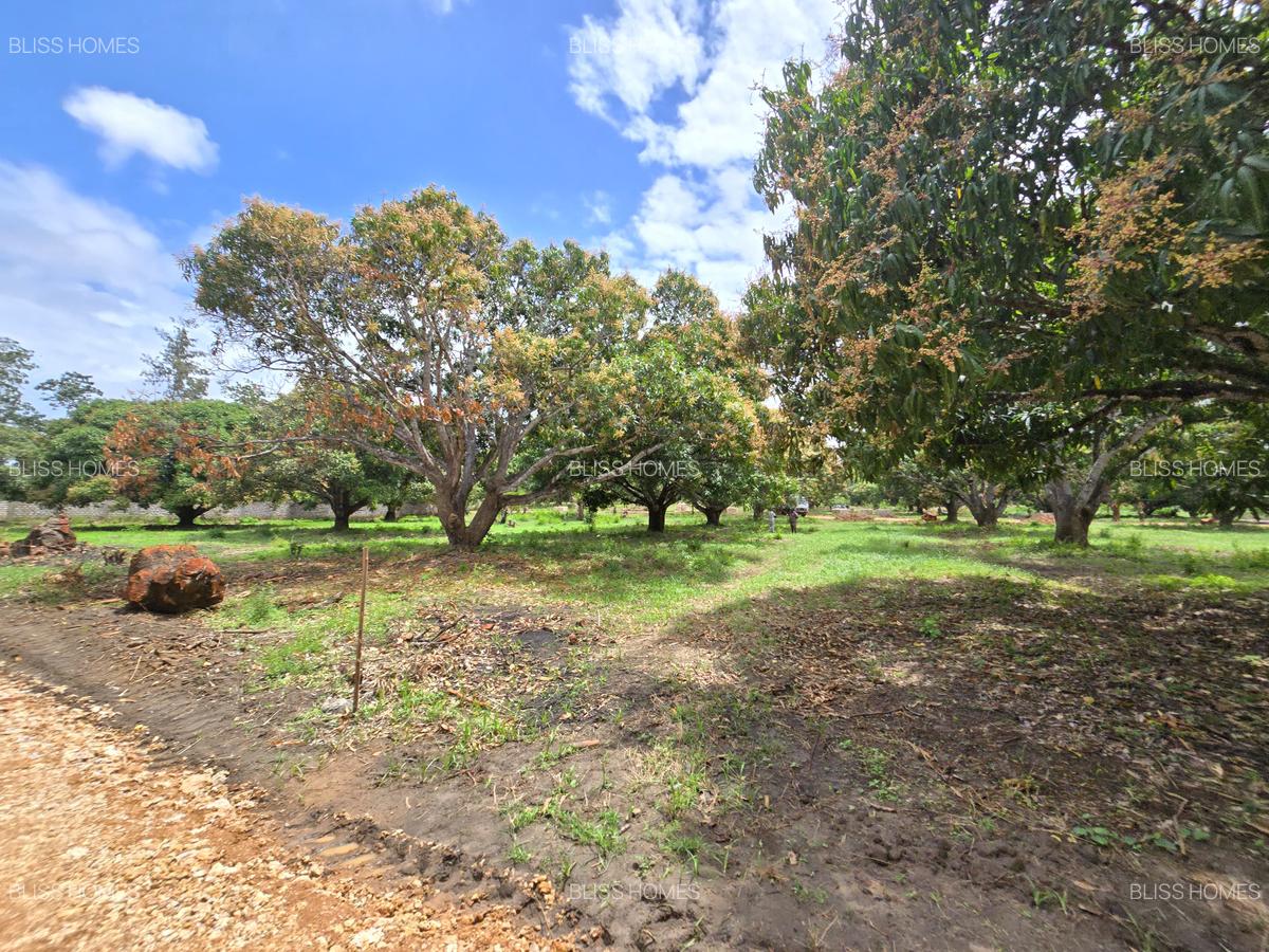 Land at Mombasa Malindi Highway - 13
