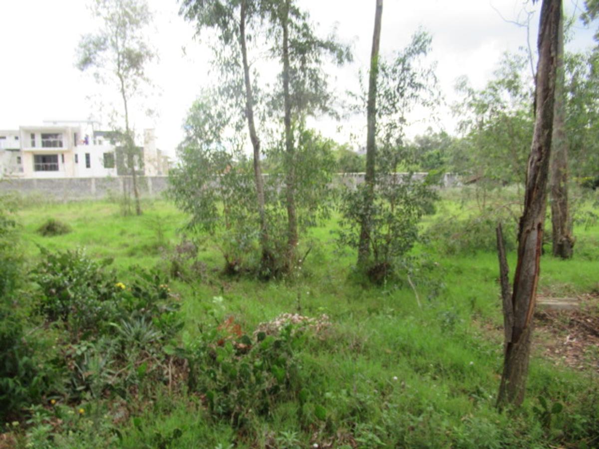 Land at Bogani Rd - 11