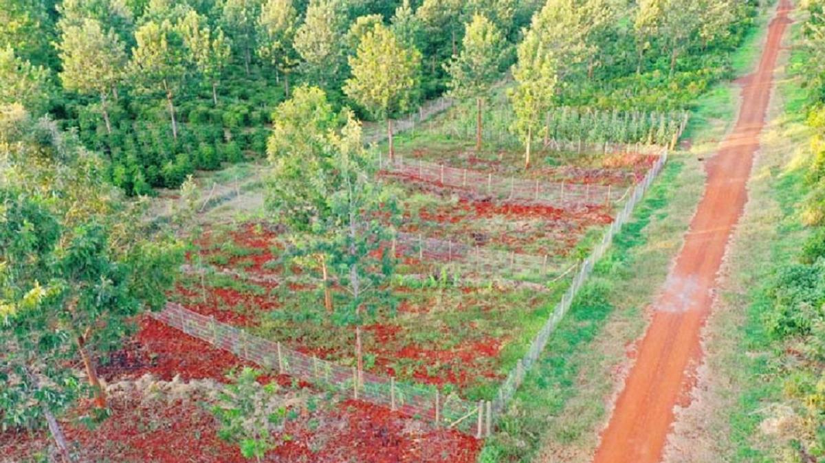 500 m² Residential Land at Oaklands Estate - 5