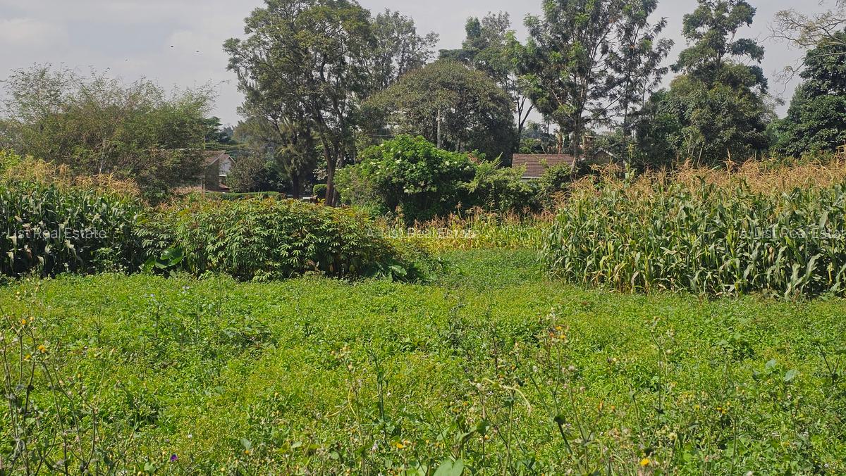 0.365 ac Land at Mushroom Road - 7