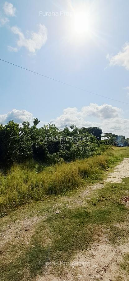 Land at Shanzu - 19