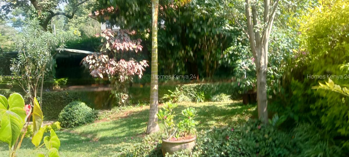 5 Bed House at Rosslyn Lone Tree - 8