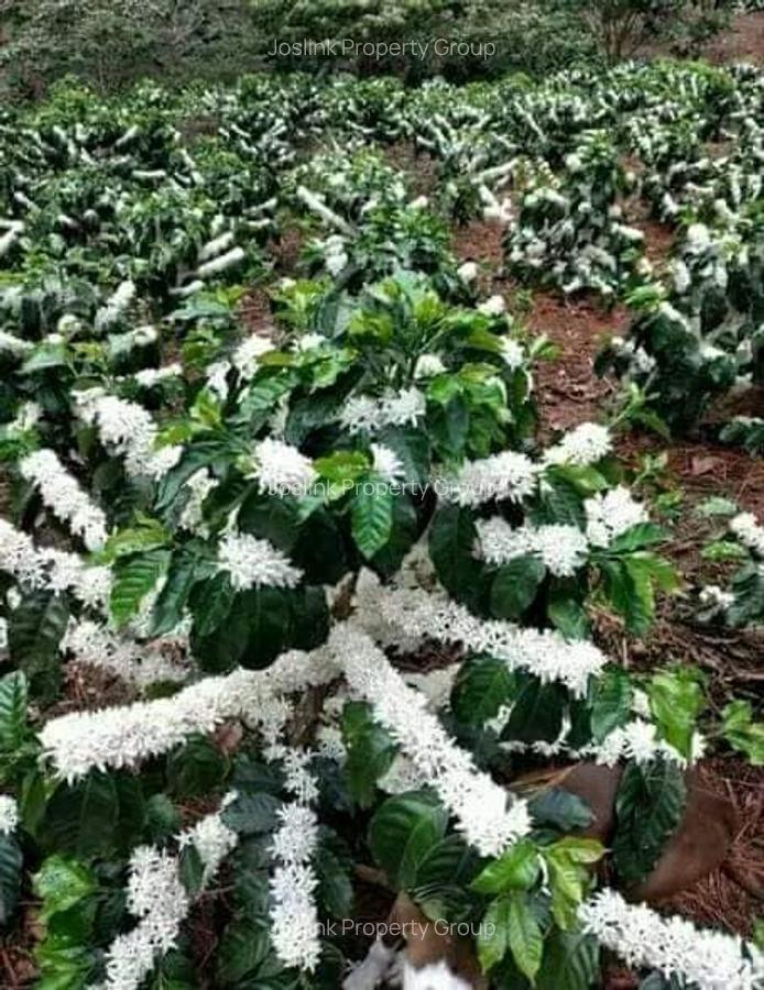 Land in Kiambu Road - 5