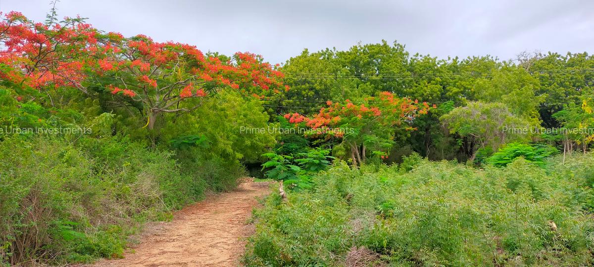 40 ac Land at Vipingo Kuruwitu - 10