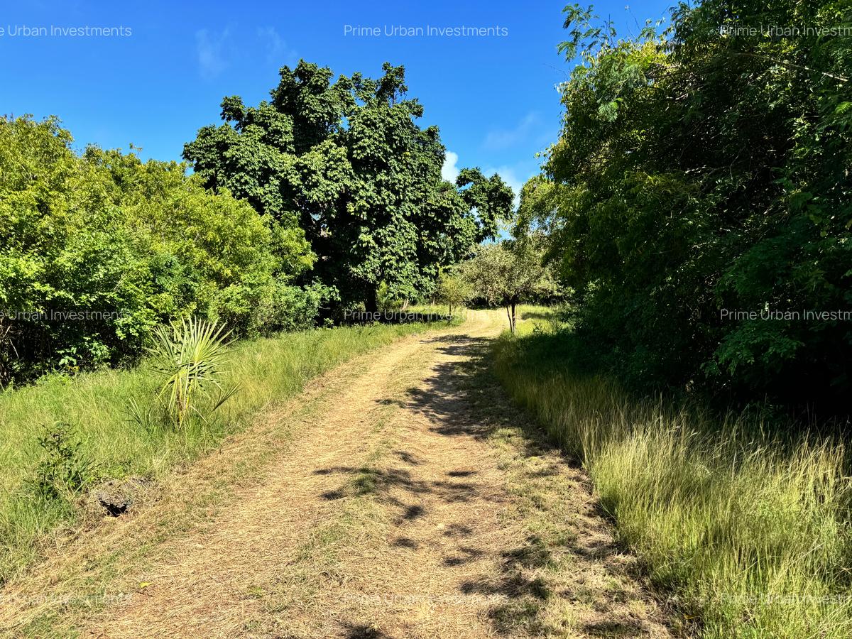 Land at Kuruwitu Beach Vipingo - 5