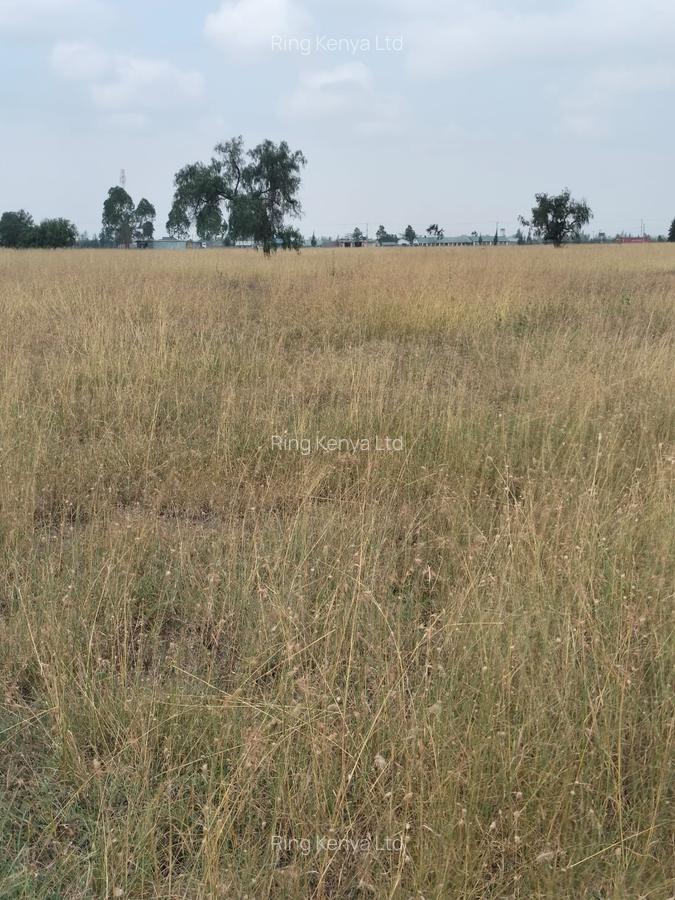 Land in Katani - 3
