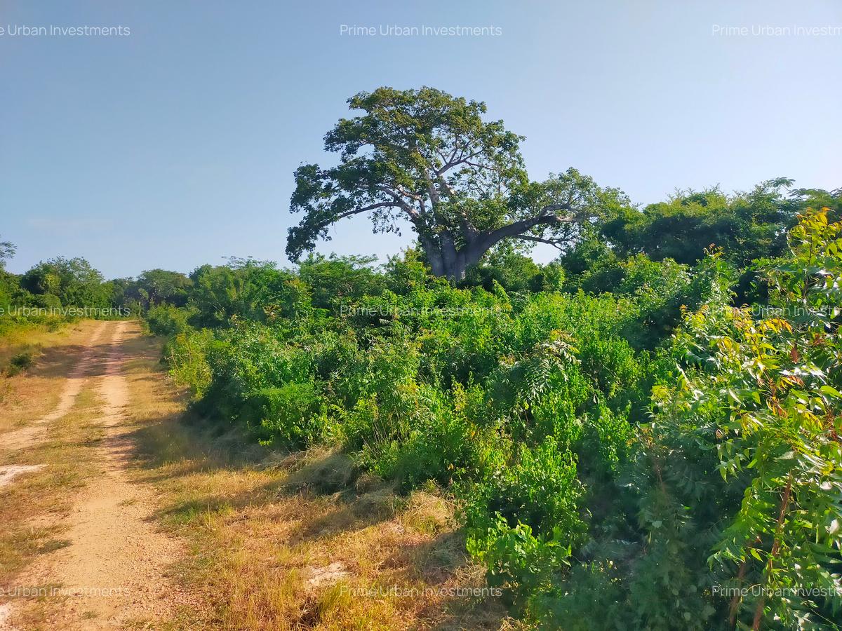 20 ac Land at Kuruwitu Beach Road - 4