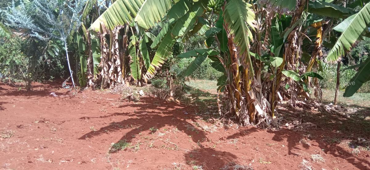 0.25 ac Land at Ruaka - 3