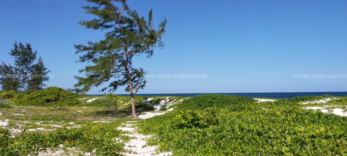 Land at Bofa Beach - 7