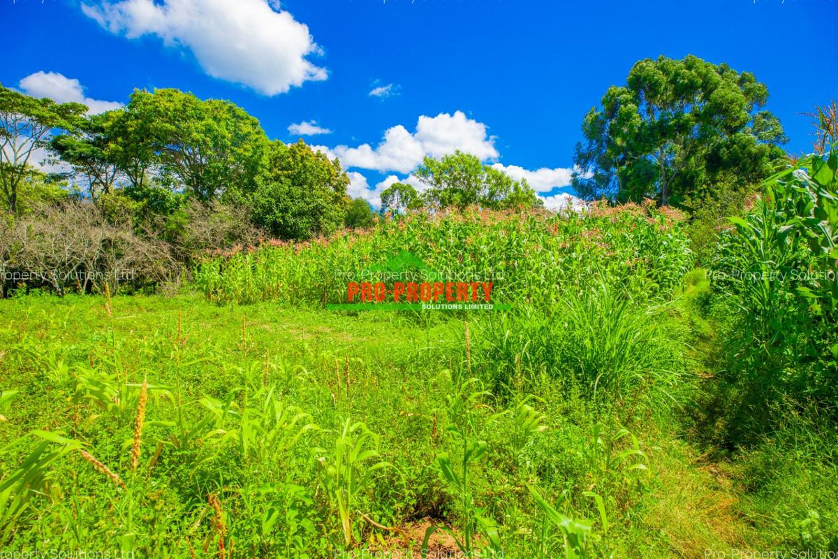 0.2 ha Commercial Land in Ndeiya - 6