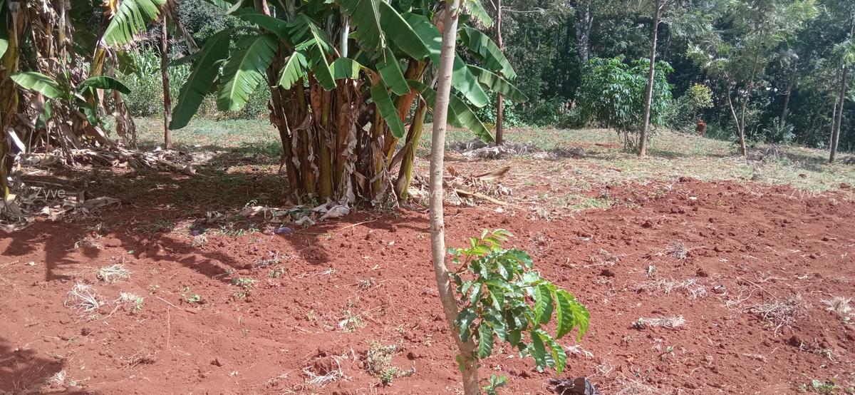 0.25 ac Land at Ruaka - 2
