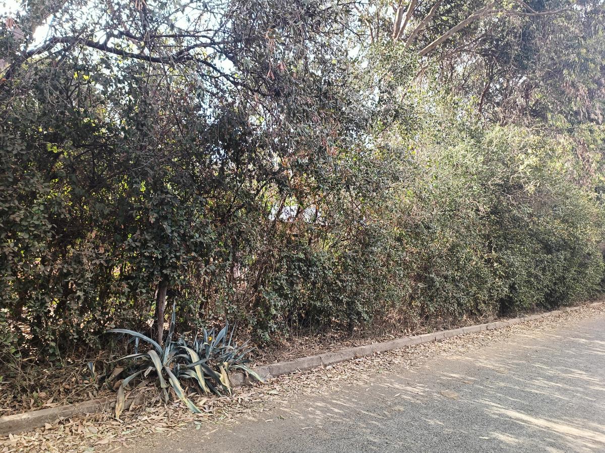 Residential Land at Tumbili Road - 14