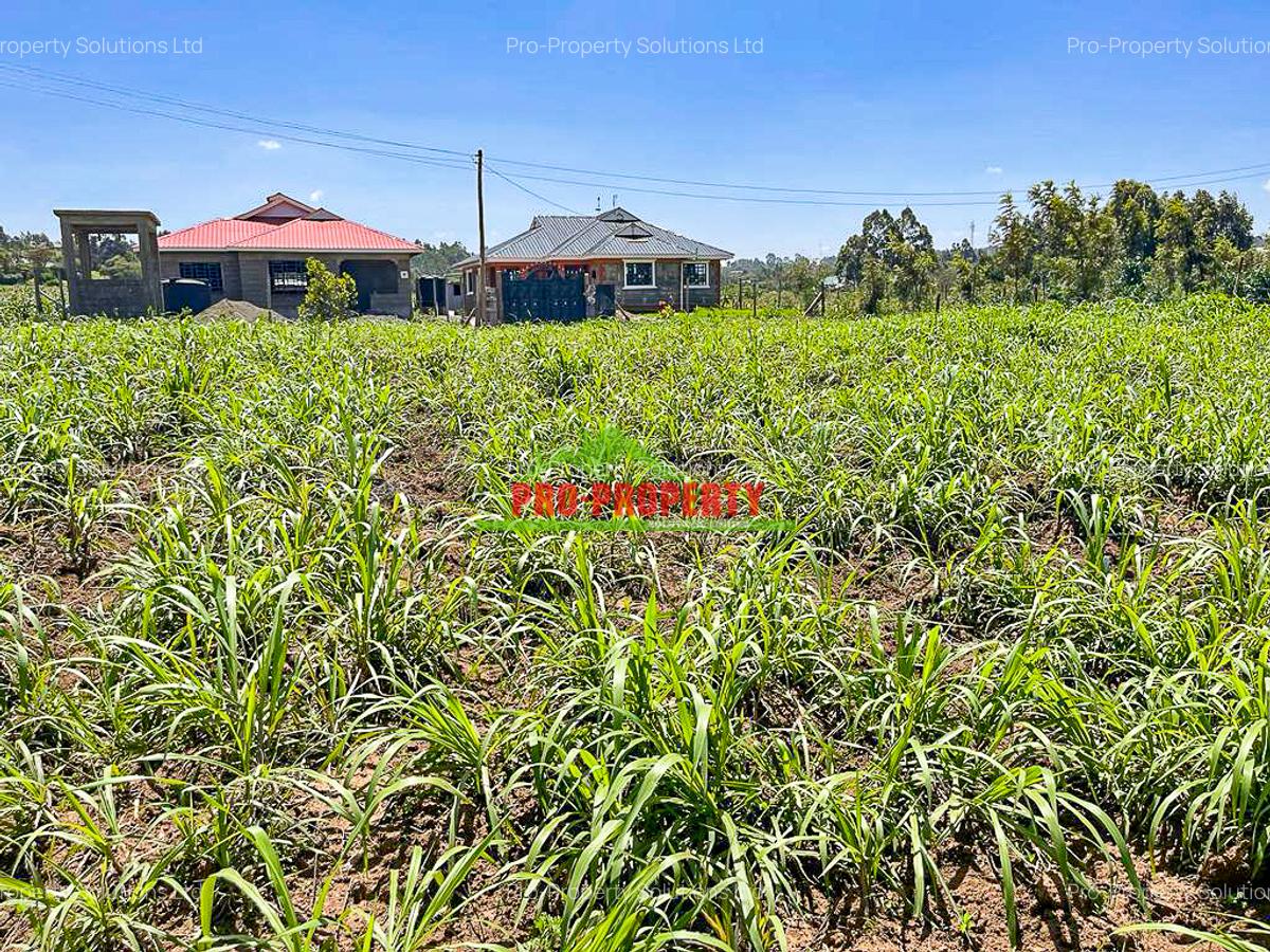 0.125 ac Residential Land at Kamangu - 8