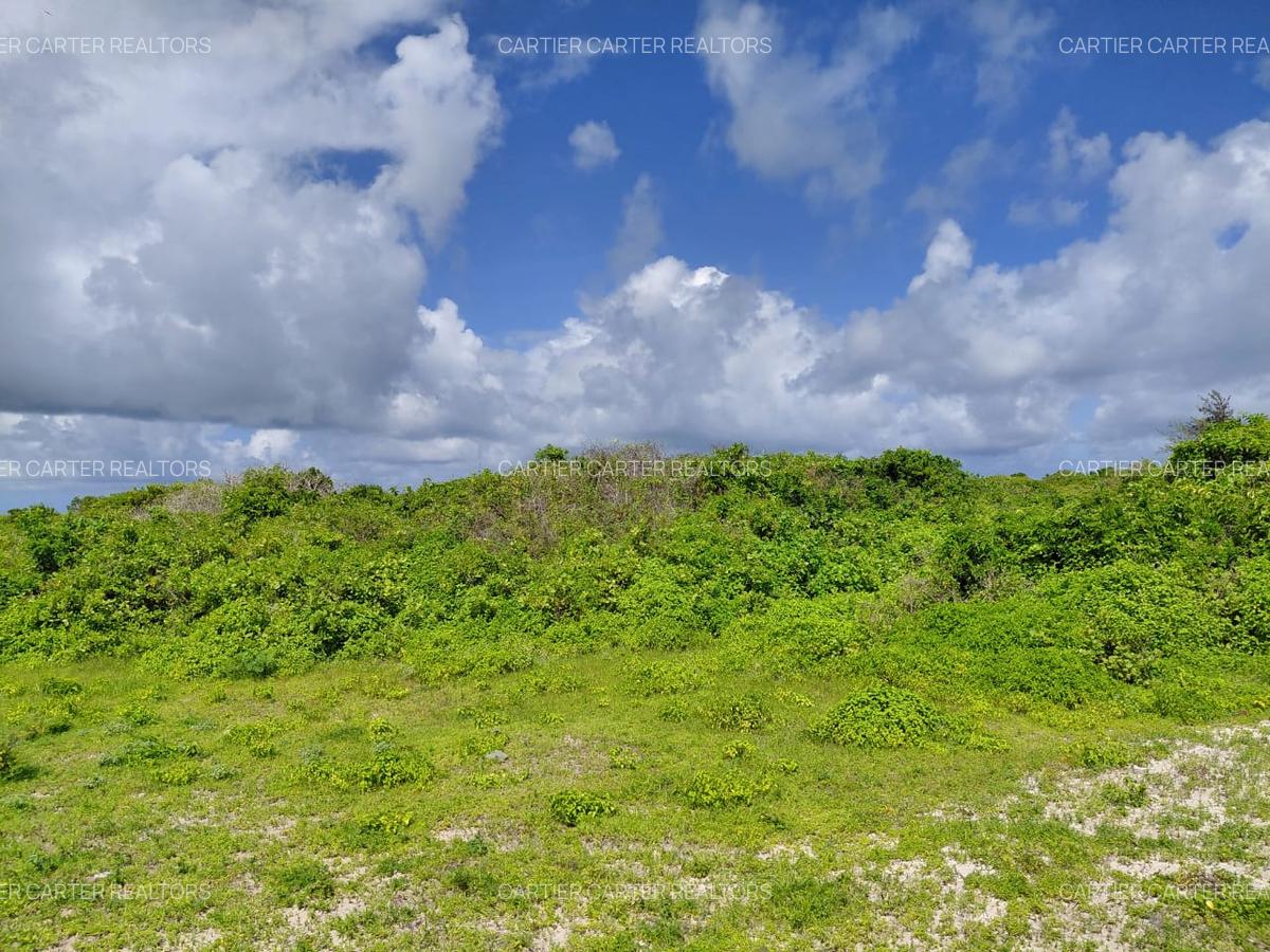 12 ac Land in Watamu - 19