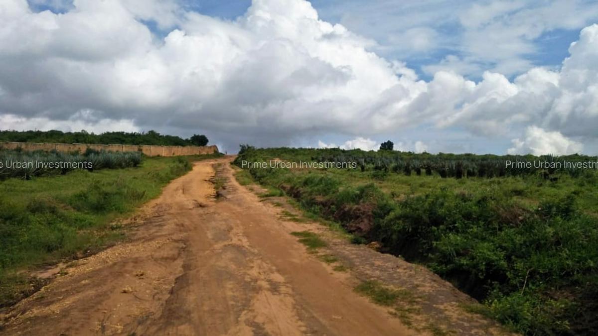 Land in Vipingo - 10