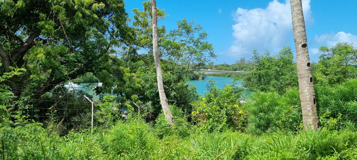 4.4 ac Land at Moorings - 20