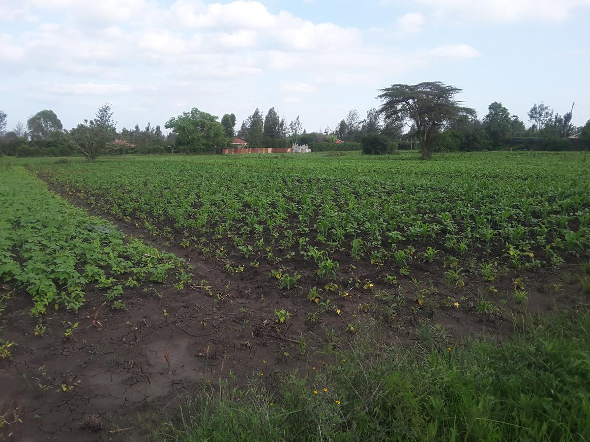 0.125 ac Residential Land in Ongata Rongai - 4