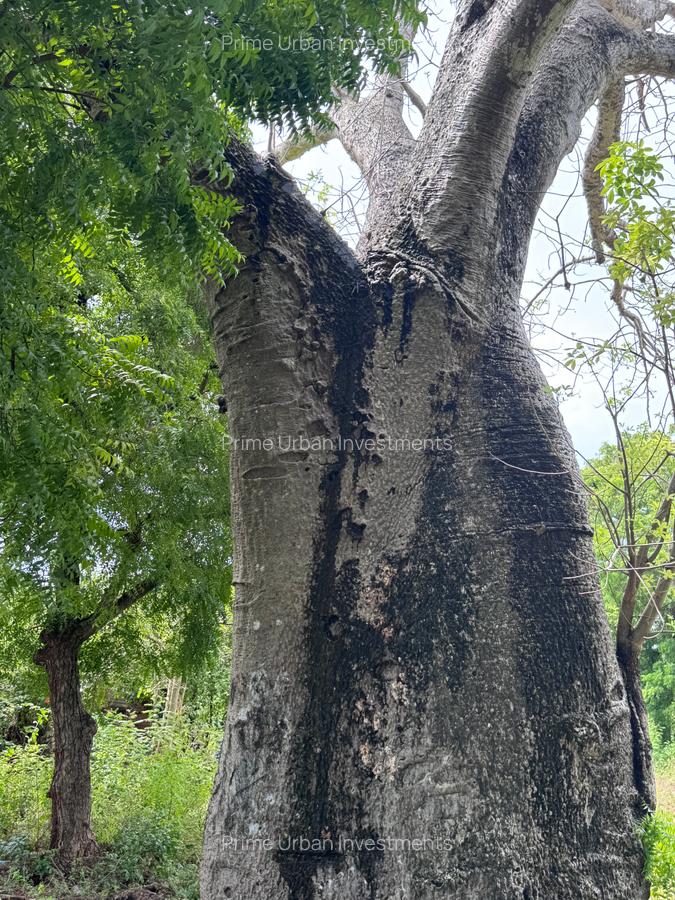 8,093.72 m² Land at Diani 3Rd Row Beach - 5