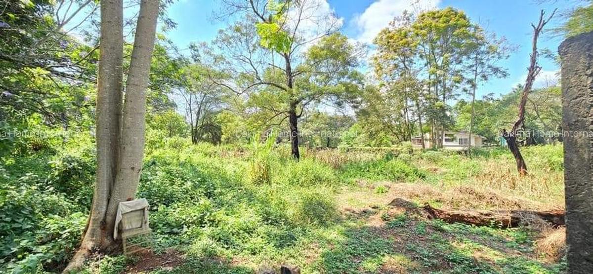 Residential Land in Spring Valley - 5