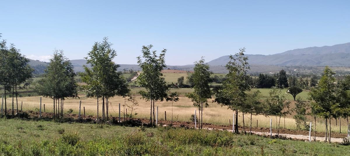 0.25 ac Residential Land at Naivasha - 6