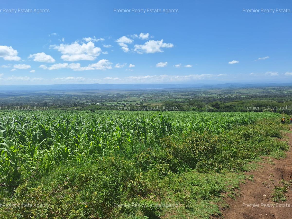 0.25 ac Residential Land at Nakuru - 4