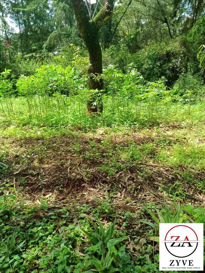 5 ac Land at Karen - 10