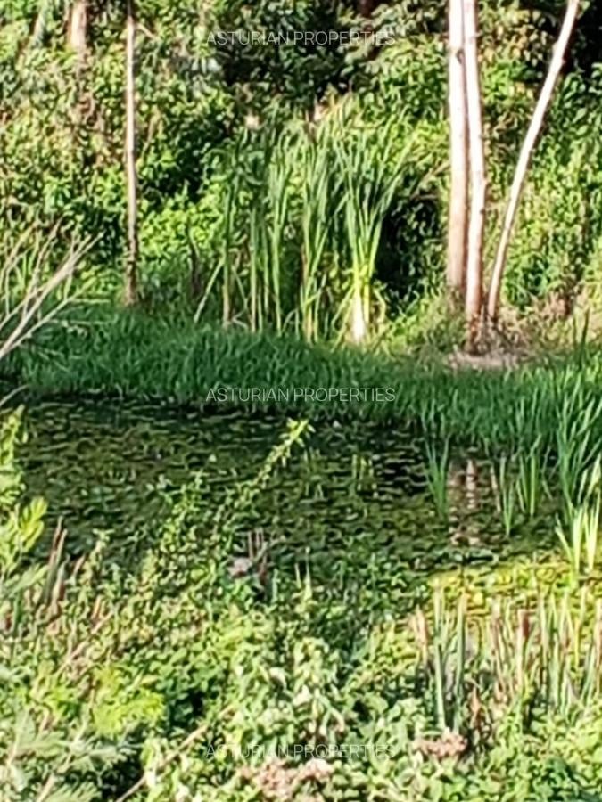 36 ac Land in Kikuyu Town - 6