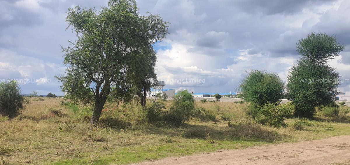 48 ac Land in Isinya - 1