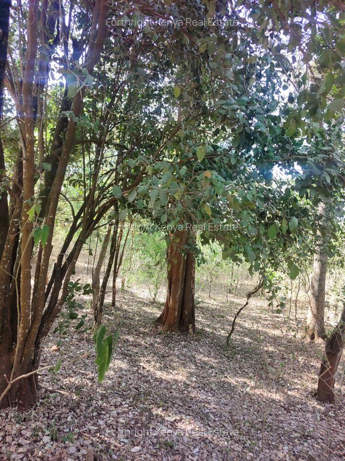 2.3 ac Land at Giraffe Centre - 5