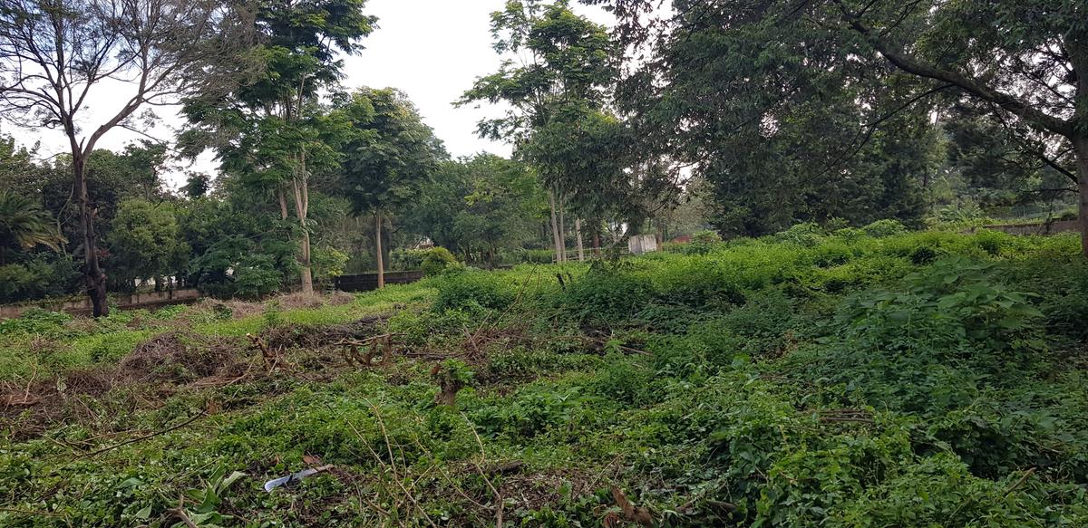 Residential Land at Shanzu Road - 11