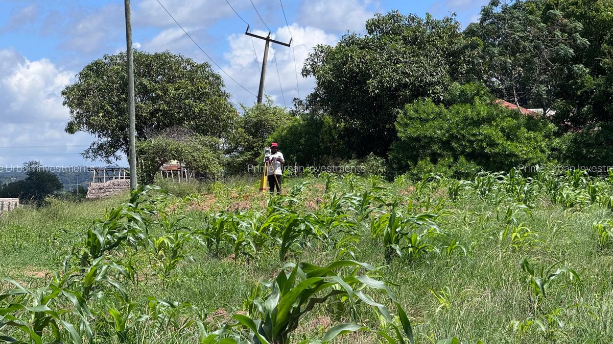 505 m² Land at Mavueni - 14