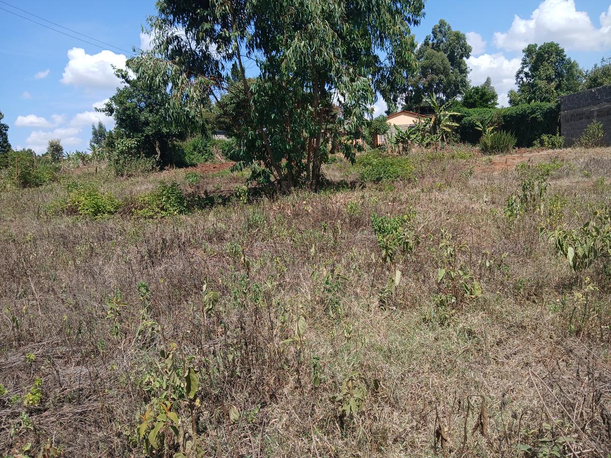 Commercial Land at Lusingetti - 5