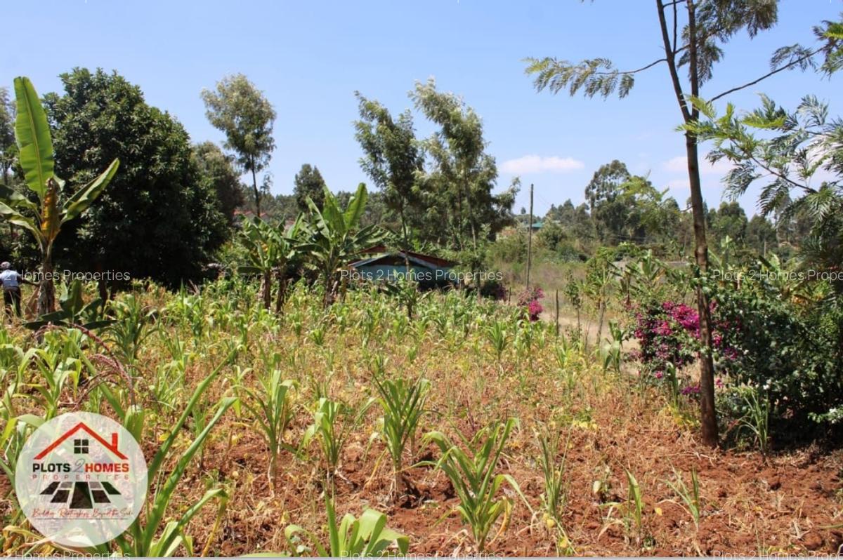 800 m² Residential Land at Kamuita Area - 3