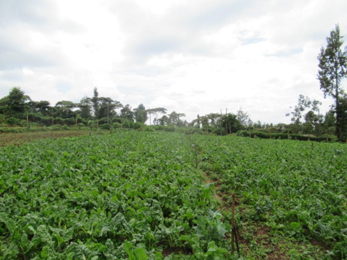 3.25 ac Land at Ngecha-Wangige Rd - 3