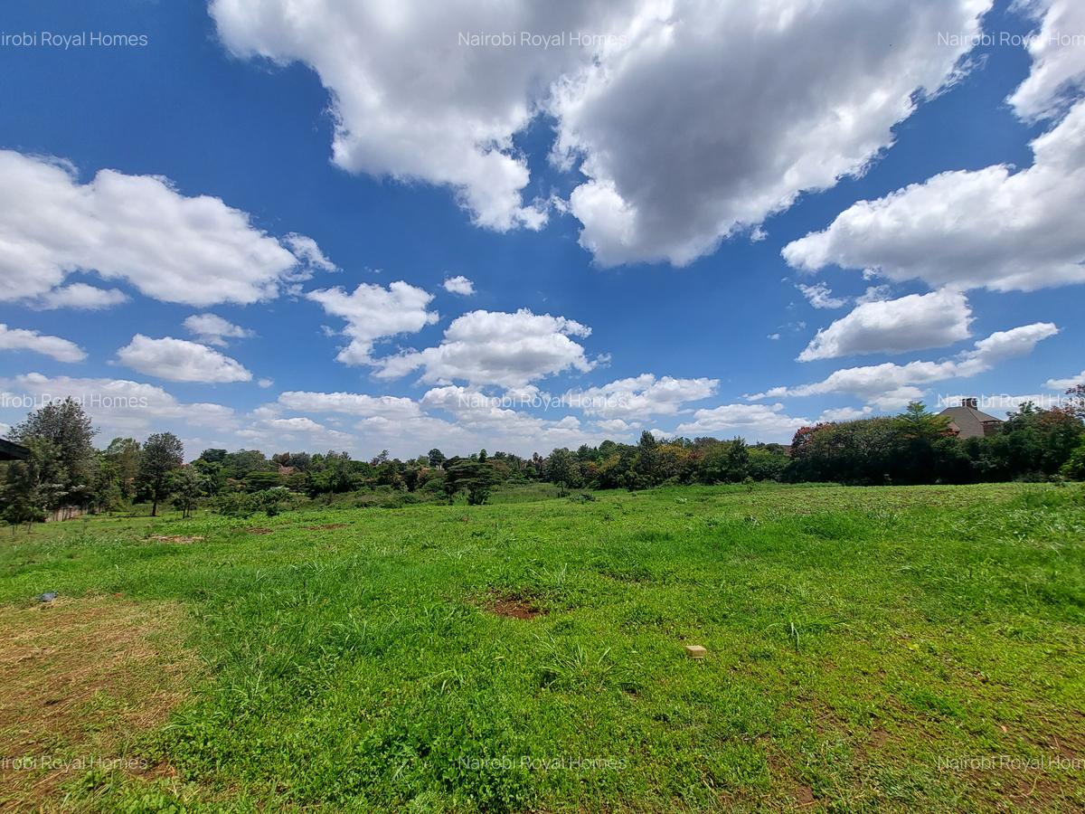 Residential Land at Flem Tree Off Ruaka Road - 1