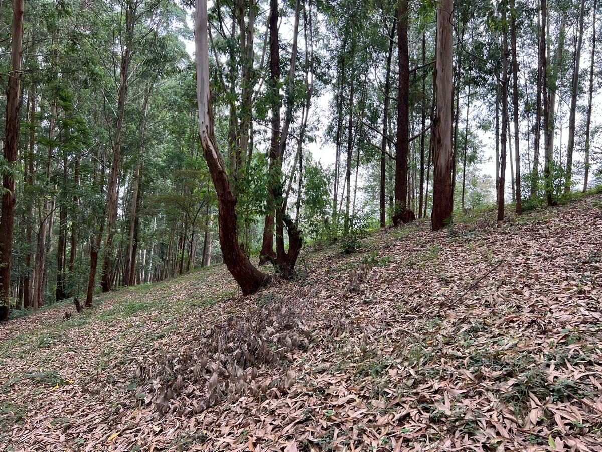 Residential Land at Nyari Estate - 6