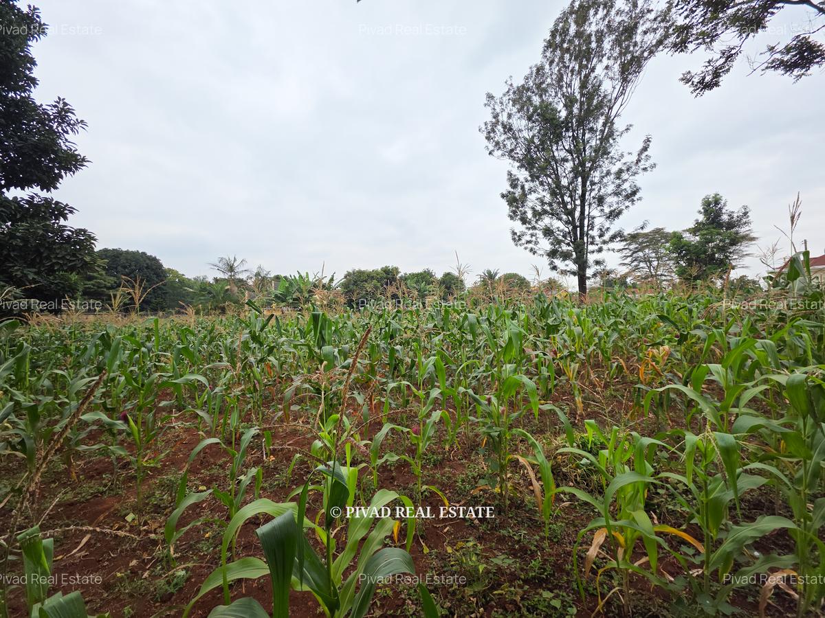 0.5 ac Land in Runda - 6